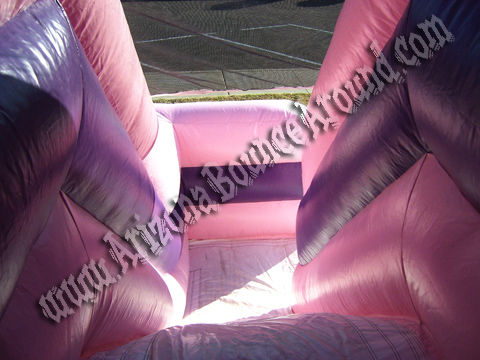Princess bounce house Rental, Princess moonwalk