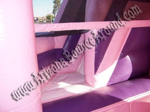 Princess bounce house Rental, Princess moonwalk