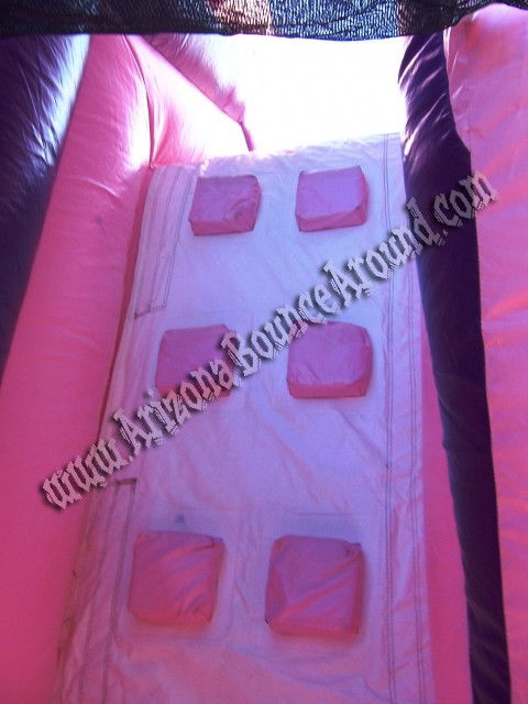 Princess bounce house Rental, Princess moonwalk