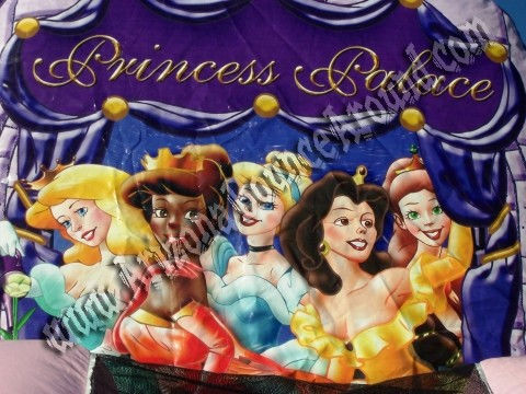 Princess bounce house Rental, Princess moonwalk
