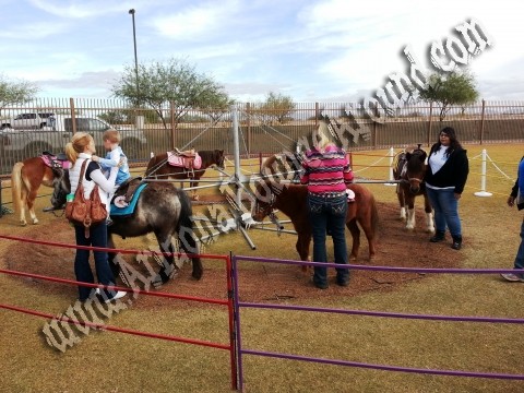 Pony Rides for Hire, Pony Ride rentals, Phoenix, Scottsdale AZ 