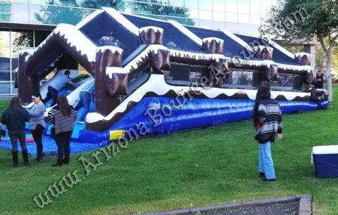 Inflatable Tobogan slide Rental